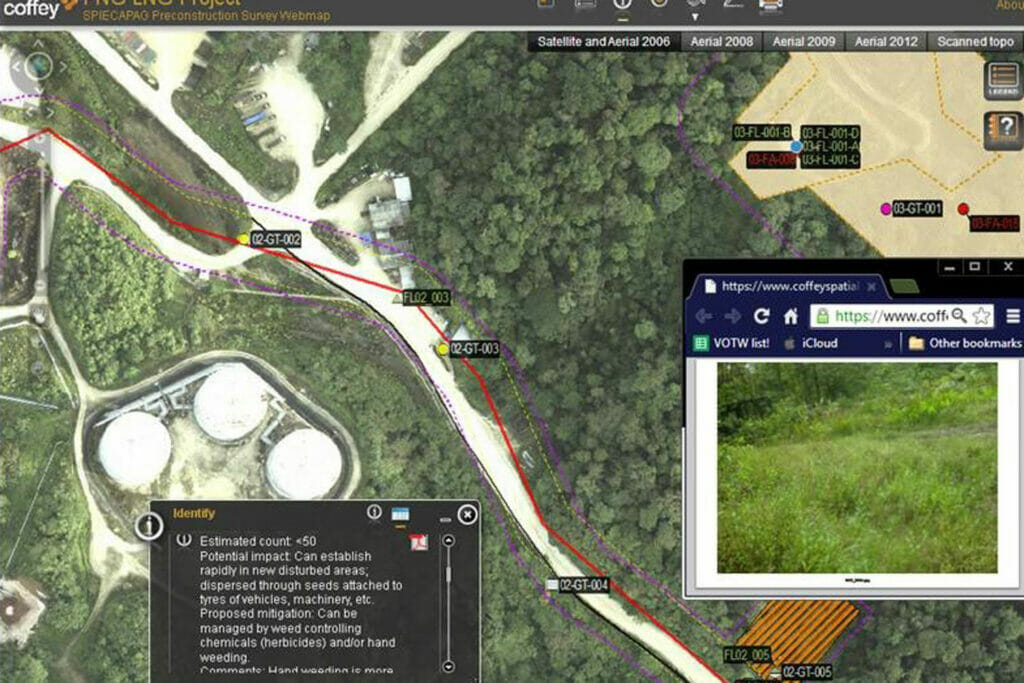 Providing energy consulting, GIS services, and project management to support a complex natural gas project in Papua New Guinea